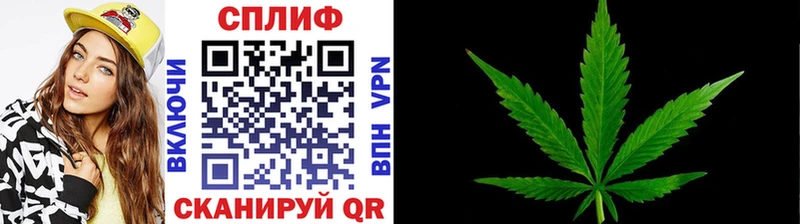 Как найти наркотики Гусиноозёрск Канабис  Меф мяу мяу  КОКАИН  А ПВП  АМФ  ГАШ 