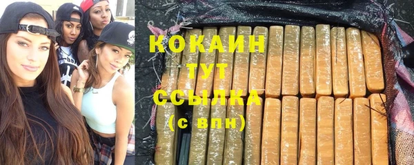 PSILOCYBIN Майский