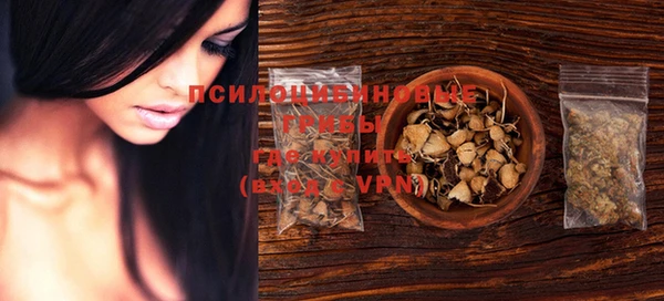 PSILOCYBIN Майский