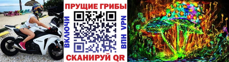 продажа наркотиков  Гусиноозёрск  Псилоцибиновые грибы прущие грибы 